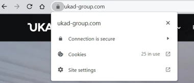 Screenshot of website shows the secure sign "lock"