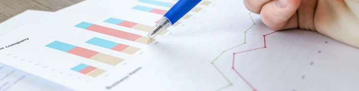 Business Analyst 2