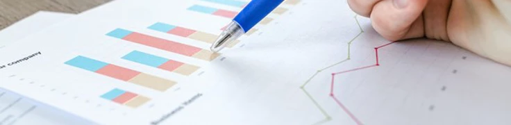 Business Analyst 2