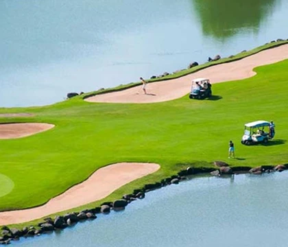 Birdie 7