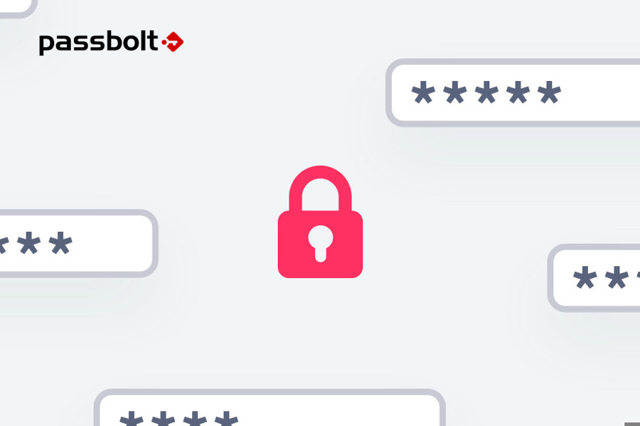 Collaborative Password Management with Passbolt