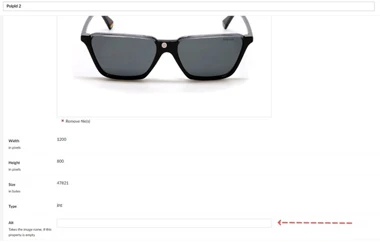 Screenshot shows image and Alt field in Umraco CMS