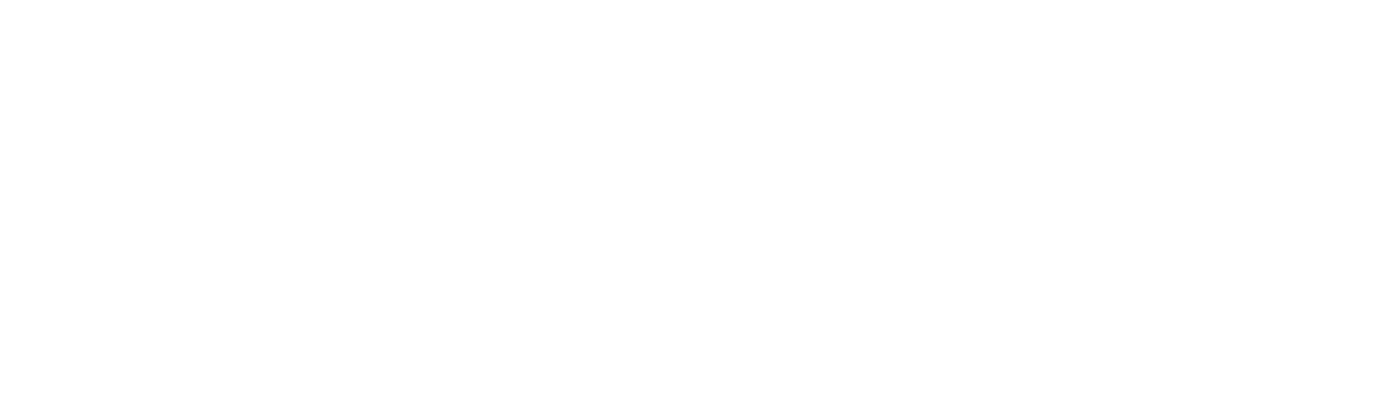 Microsoft Solution Partner White